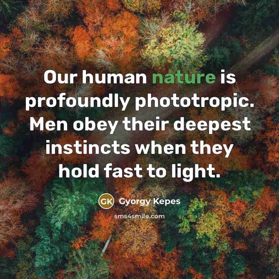 “Our human nature is profoundly phototropic. Men obey their deepest…” quote by Gyorgy Kepes
