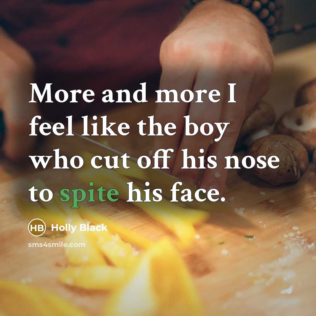 “More and more I feel like the boy who cut…” quote by Holly Black