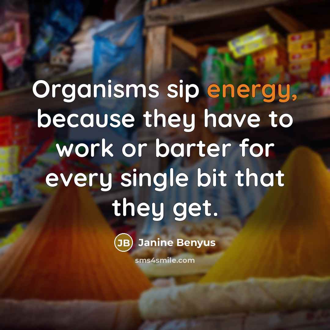 “Organisms sip energy, because they have to work or barter…” quote by Janine Benyus