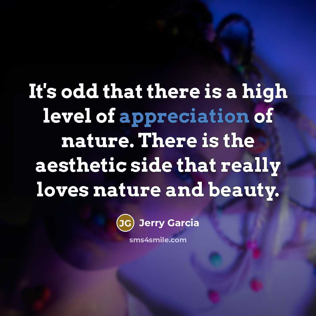 “It's odd that there is a high level of appreciation…” quote by Jerry Garcia
