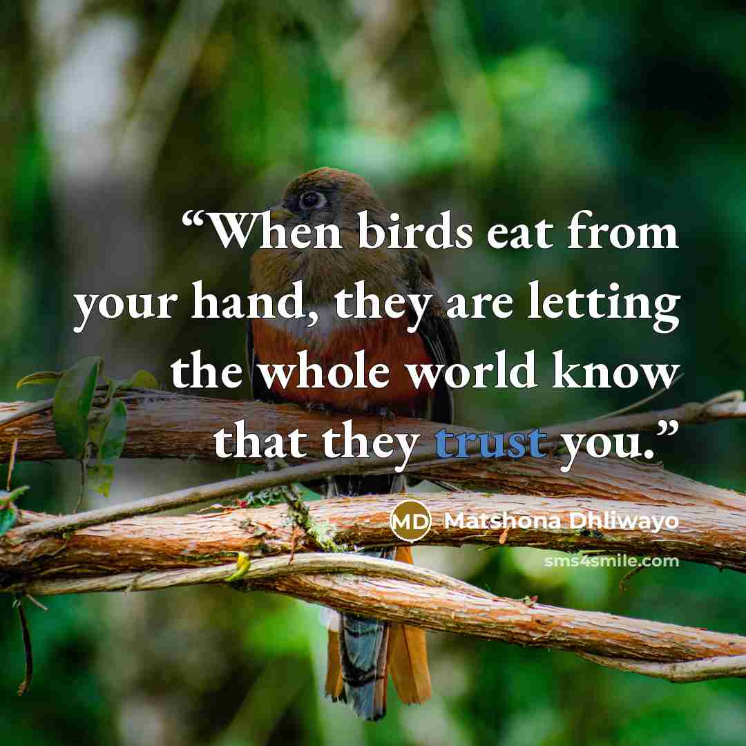 “When birds eat from your hand, they are letting the whole world know that they trust you.” quote by Matshona Dhliwayo
