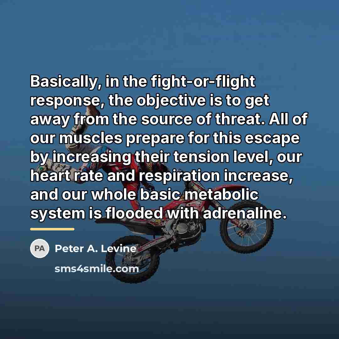 “Basically, in the fight-or-flight response, the objective is to get…” quote by Peter A. Levine