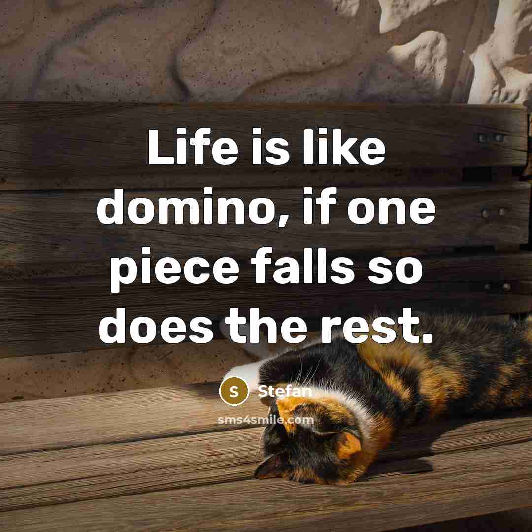 “Life is like domino, if one piece falls so does…” quote by Stefan