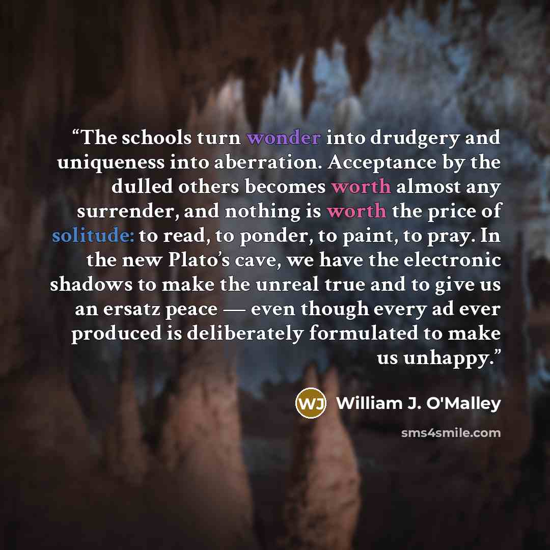 “The schools turn wonder into drudgery and uniqueness into aberration. Acceptance by the dulled others becomes worth almost any surrender, and nothing is worth the price of solitude: to read, to ponder, to paint, to pray. In the new Plato’s cave, we have the electronic shadows to make the unreal…” quote by William J. O'Malley