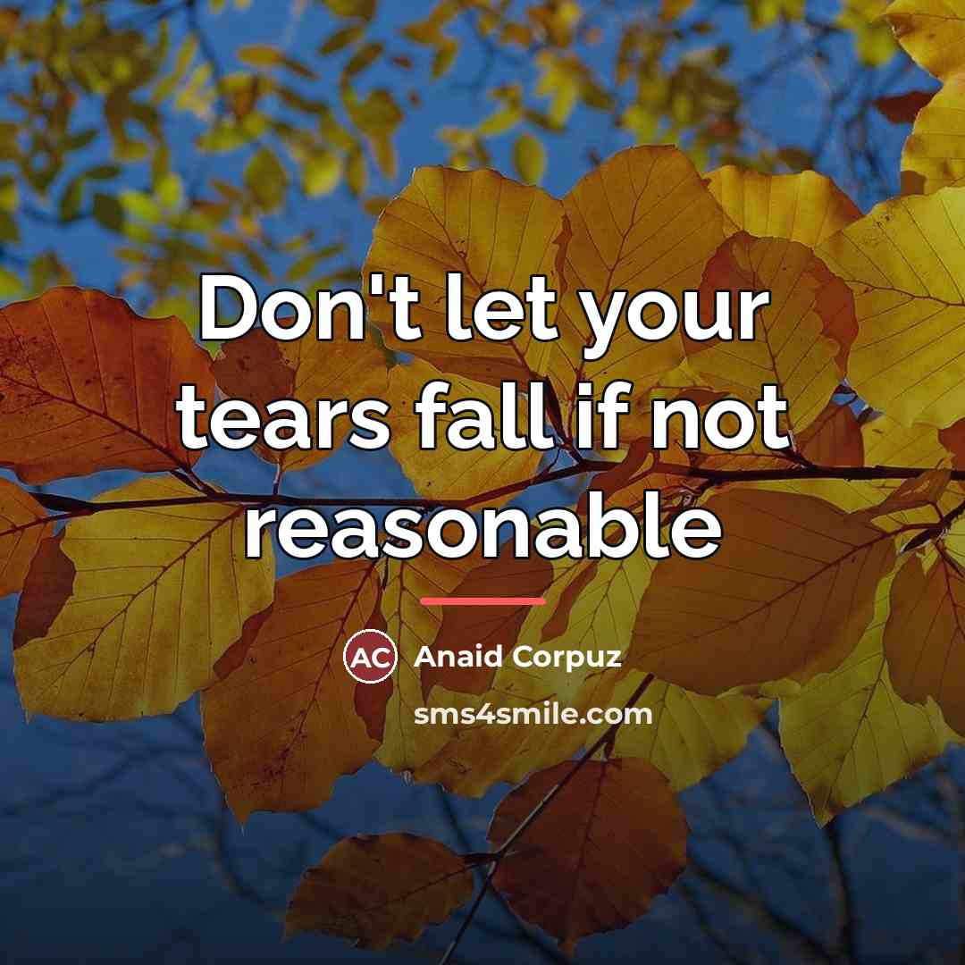 “Don't let your tears fall if not reasonable…” quote by Anaid Corpuz