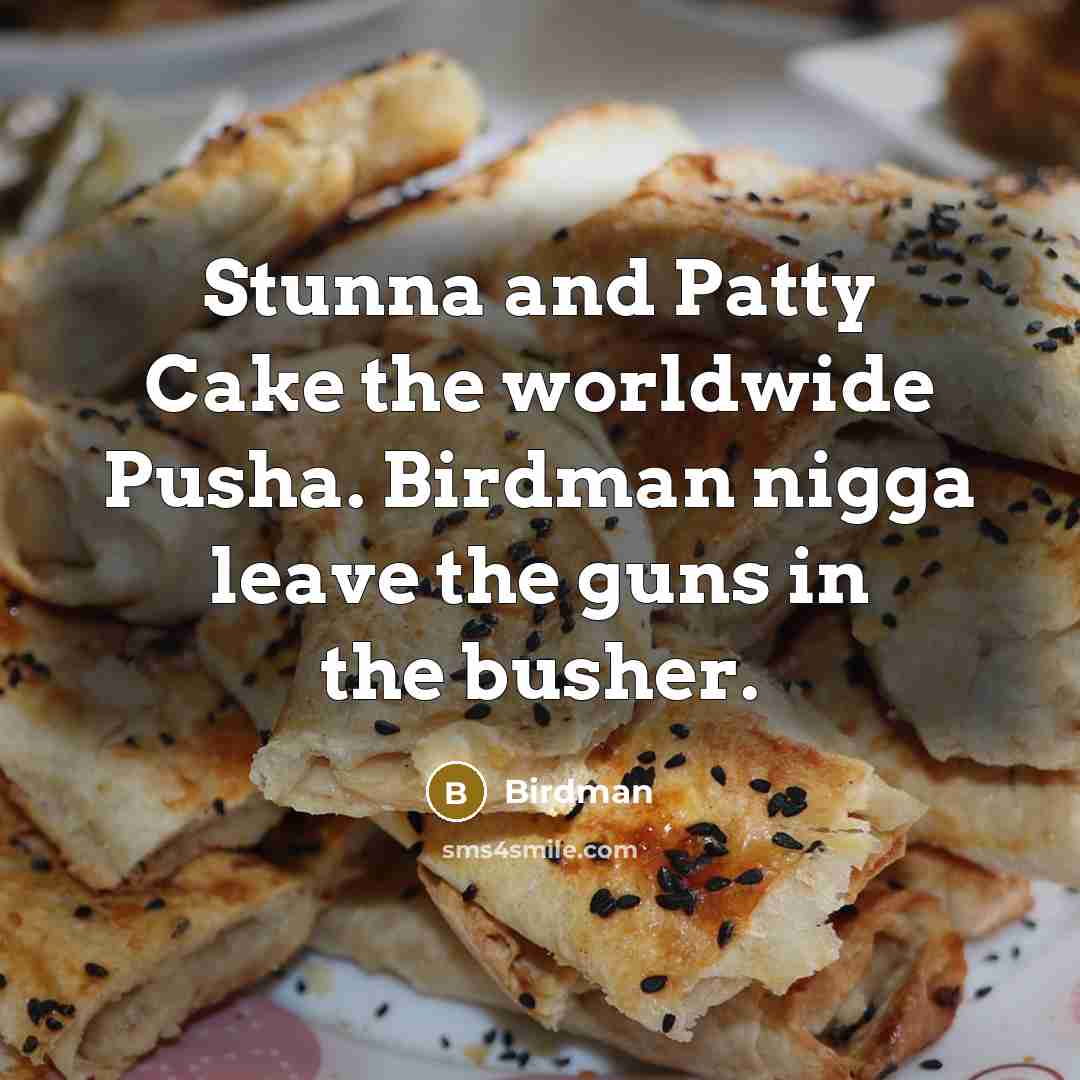 “Stunna and Patty Cake the worldwide Pusha. Birdman nigga leave the guns in the busher.” quote by Birdman