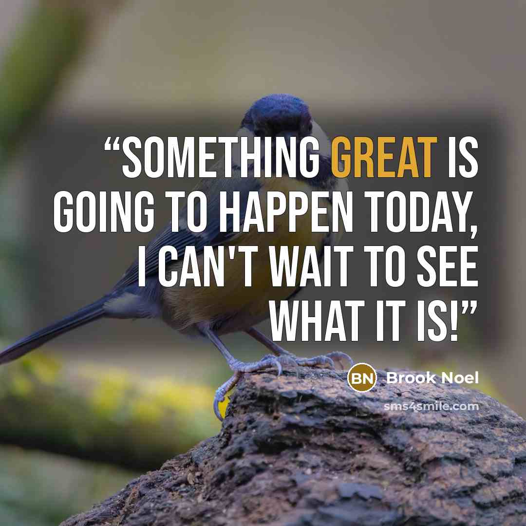 “Something great is going to happen today, I can't wait to see what it Is!” quote by Brook Noel