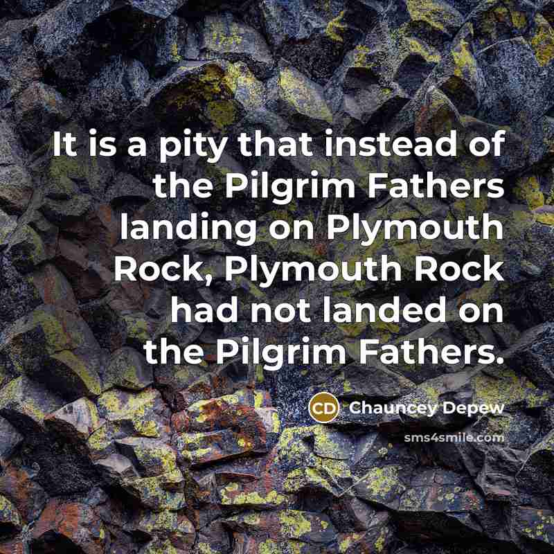 “It is a pity that instead of the Pilgrim Fathers…” quote by Chauncey Depew