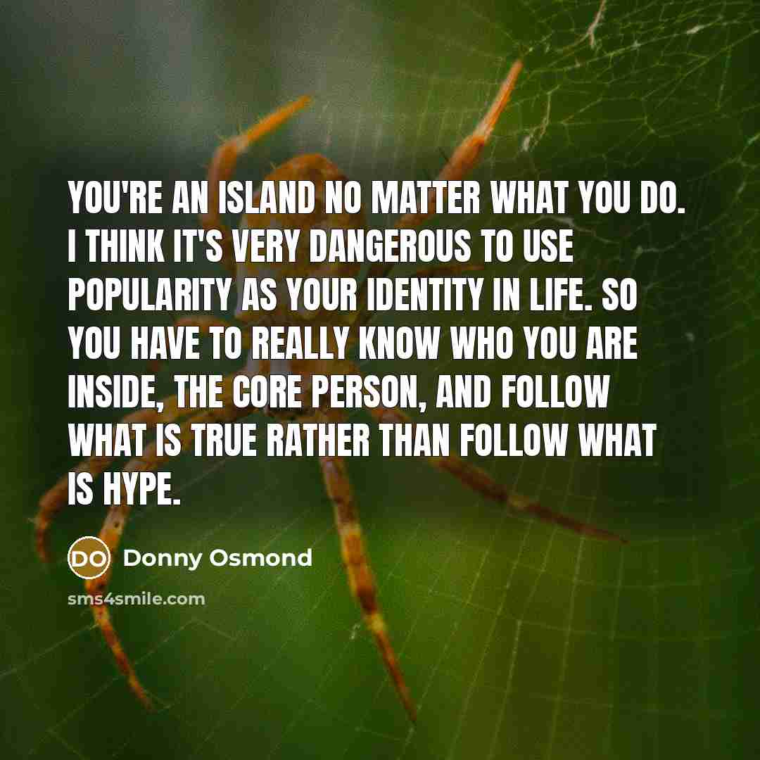 “You're an island no matter what you do. I think…” quote by Donny Osmond