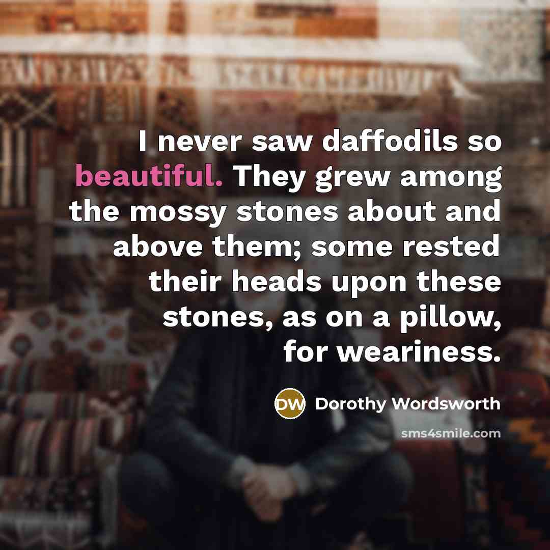 “I never saw daffodils so beautiful. They grew among the…” quote by Dorothy Wordsworth