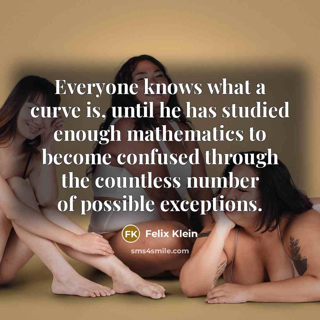 “Everyone knows what a curve is, until he has studied…” quote by Felix Klein