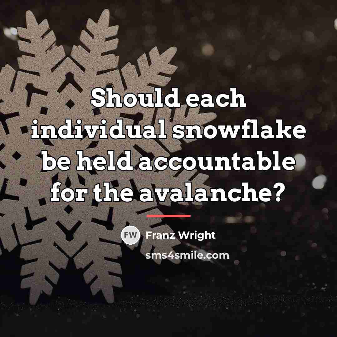 “Should each individual snowflake be held accountable for the avalanche?…” quote by Franz Wright