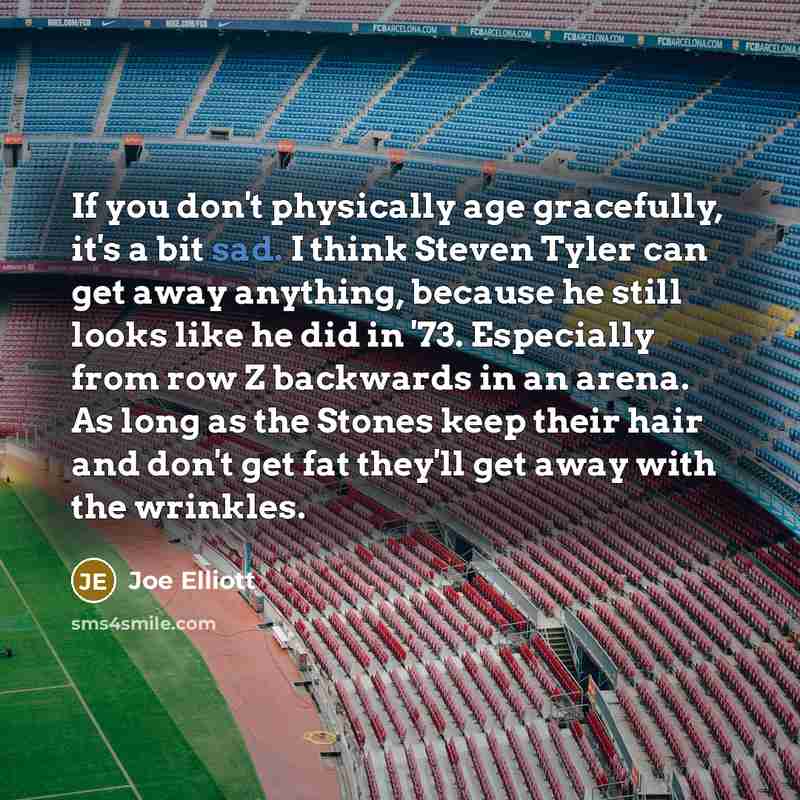 “If you don't physically age gracefully, it's a bit sad.…” quote by Joe Elliott