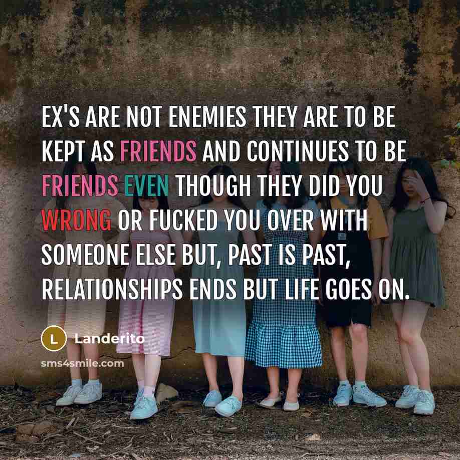 “Ex's are not enemies they are to be kept as friends and continues to be friends even though they did you wrong or fucked you over with someone else but, Past is past, relationships ends but life goes on.” quote by Landerito