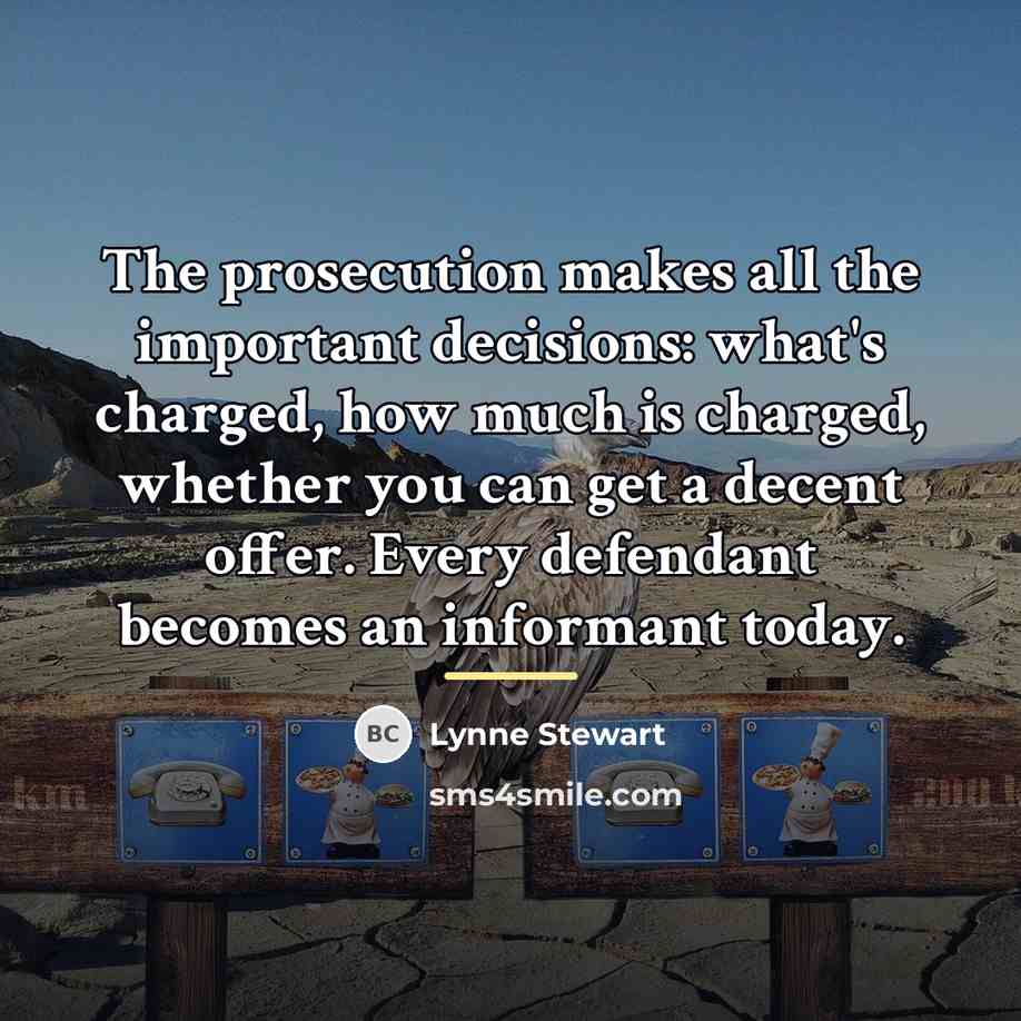 “The prosecution makes all the important decisions: what's charged, how…” quote by Lynne Stewart