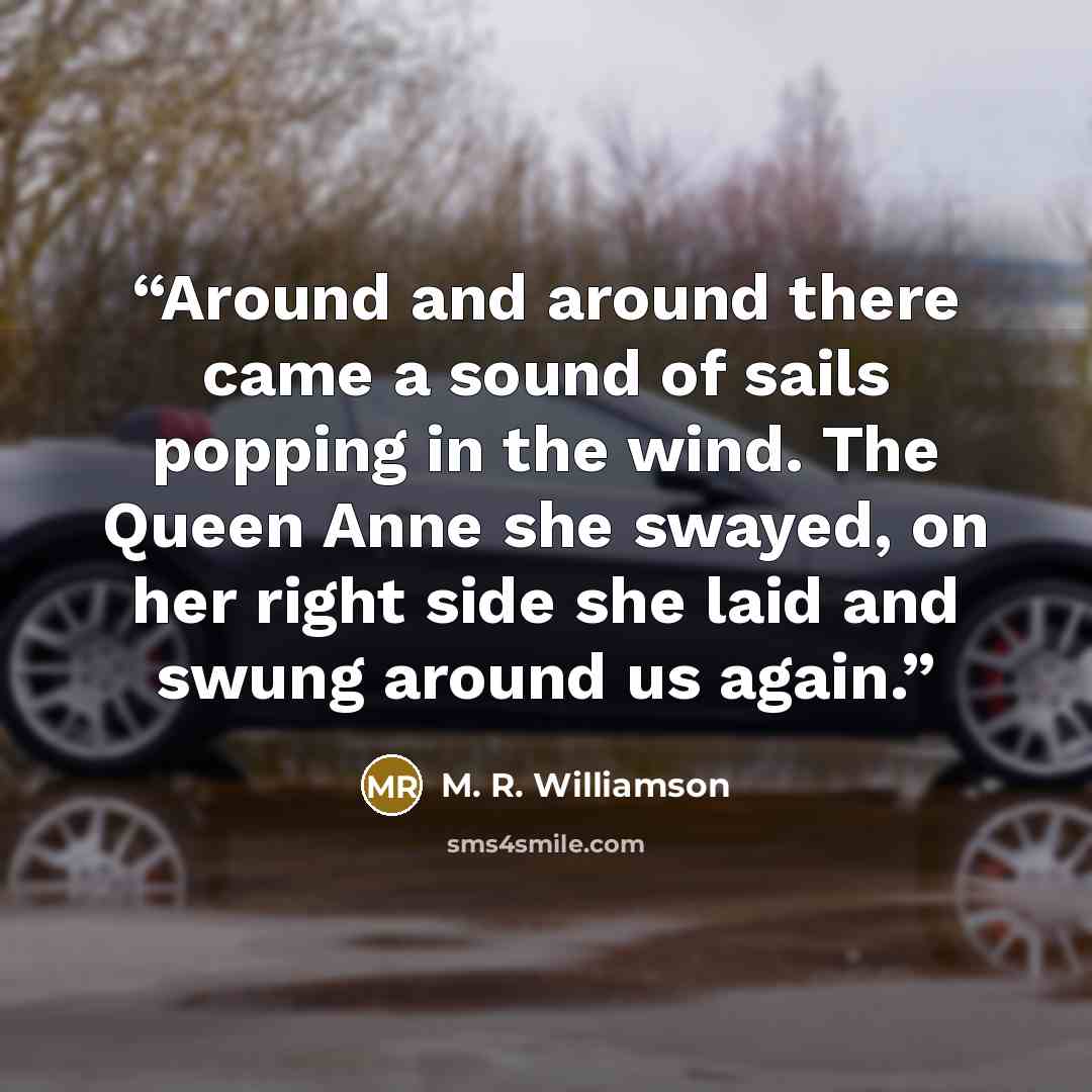“Around and around there came a sound of sails popping in the wind. The Queen Anne she swayed, on her right side she laid and swung around us again.” quote by M. R. Williamson