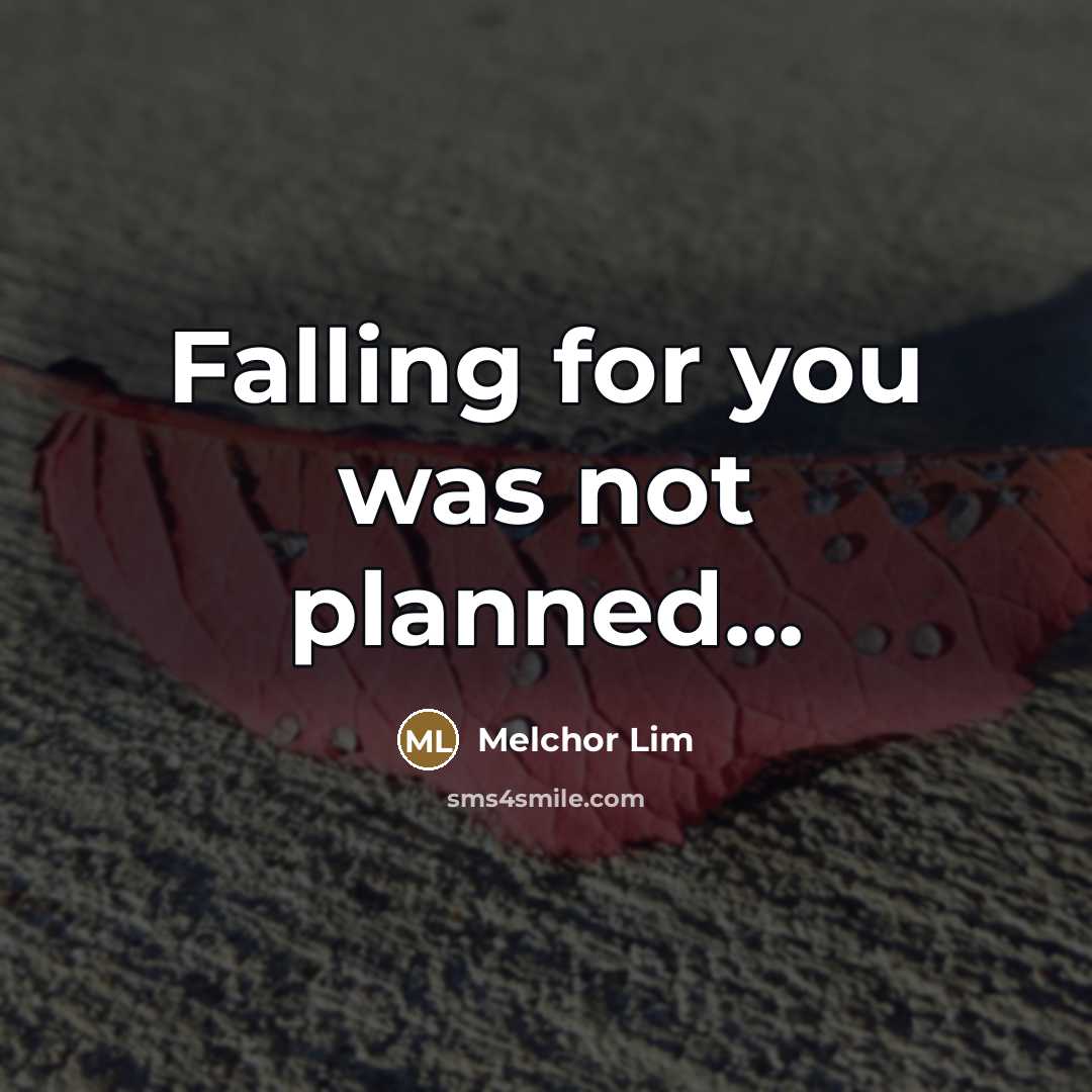 “Falling for you was not planned...…” quote by Melchor Lim