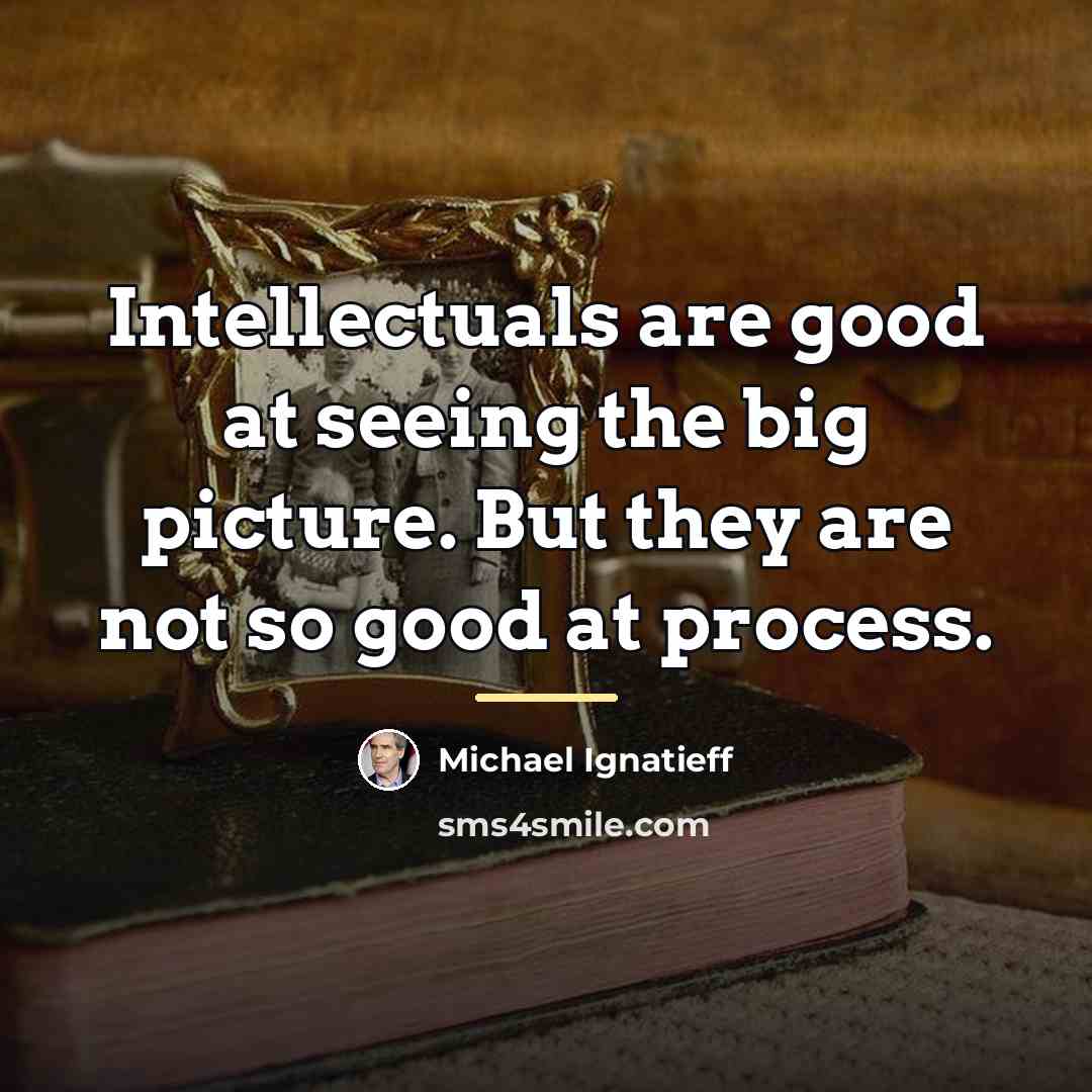 “Intellectuals are good at seeing the big picture. But they…” quote by Michael Ignatieff