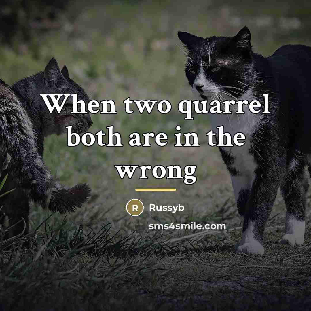 “When two quarrel both are in the wrong…” quote by Russyb