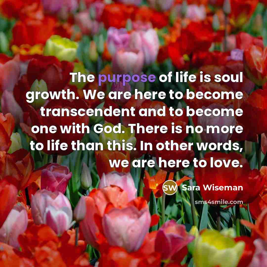 “The purpose of life is soul growth. We are here…” quote by Sara Wiseman