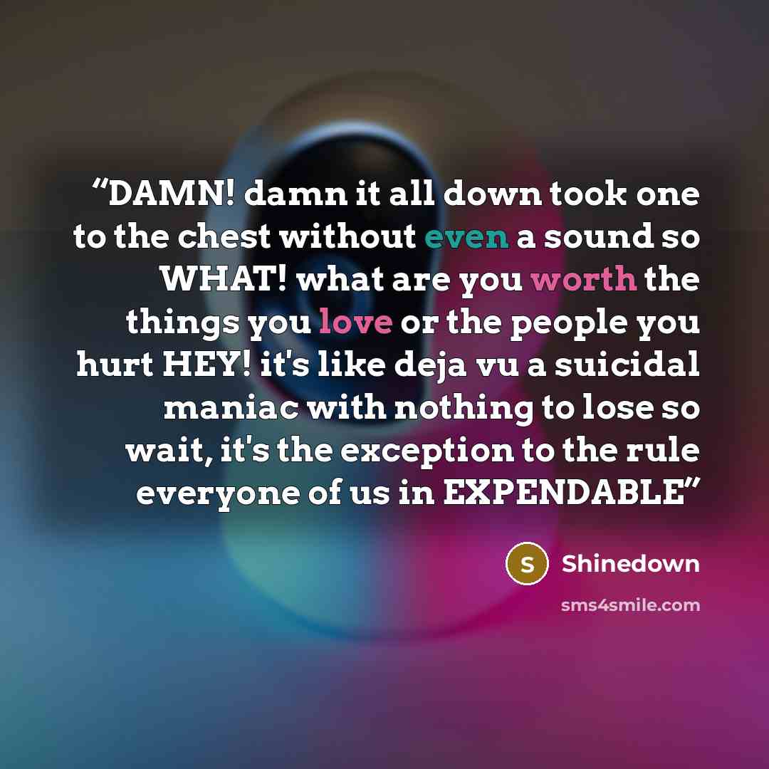 “DAMN! damn it all down took one to the chest without even a sound so WHAT! what are you worth the things you love or the people you hurt HEY! it's like deja vu a suicidal maniac with nothing to lose so wait, it's the exception to the rule everyone of us in EXPENDABLE” quote by Shinedown