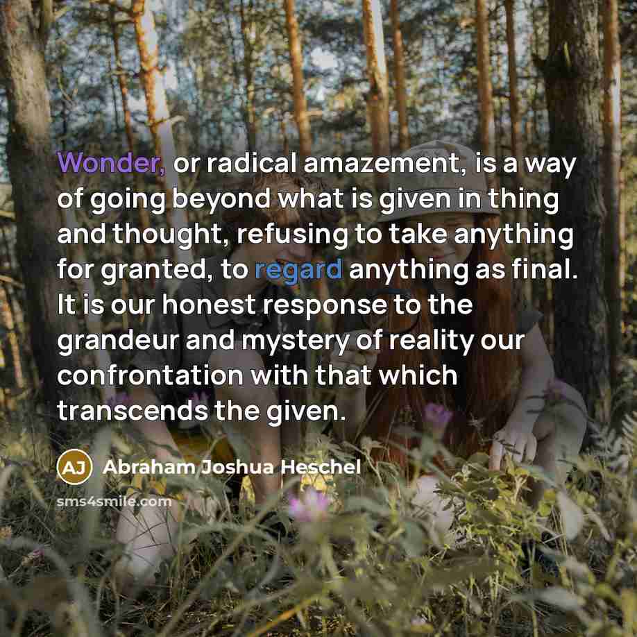 “Wonder, or radical amazement, is a way of going beyond…” quote by Abraham Joshua Heschel