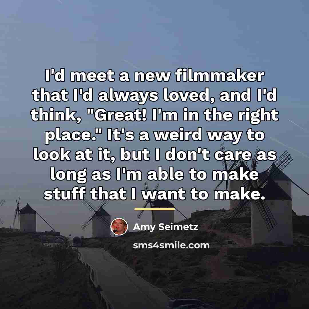 “I'd meet a new filmmaker that I'd always loved, and…” quote by Amy Seimetz
