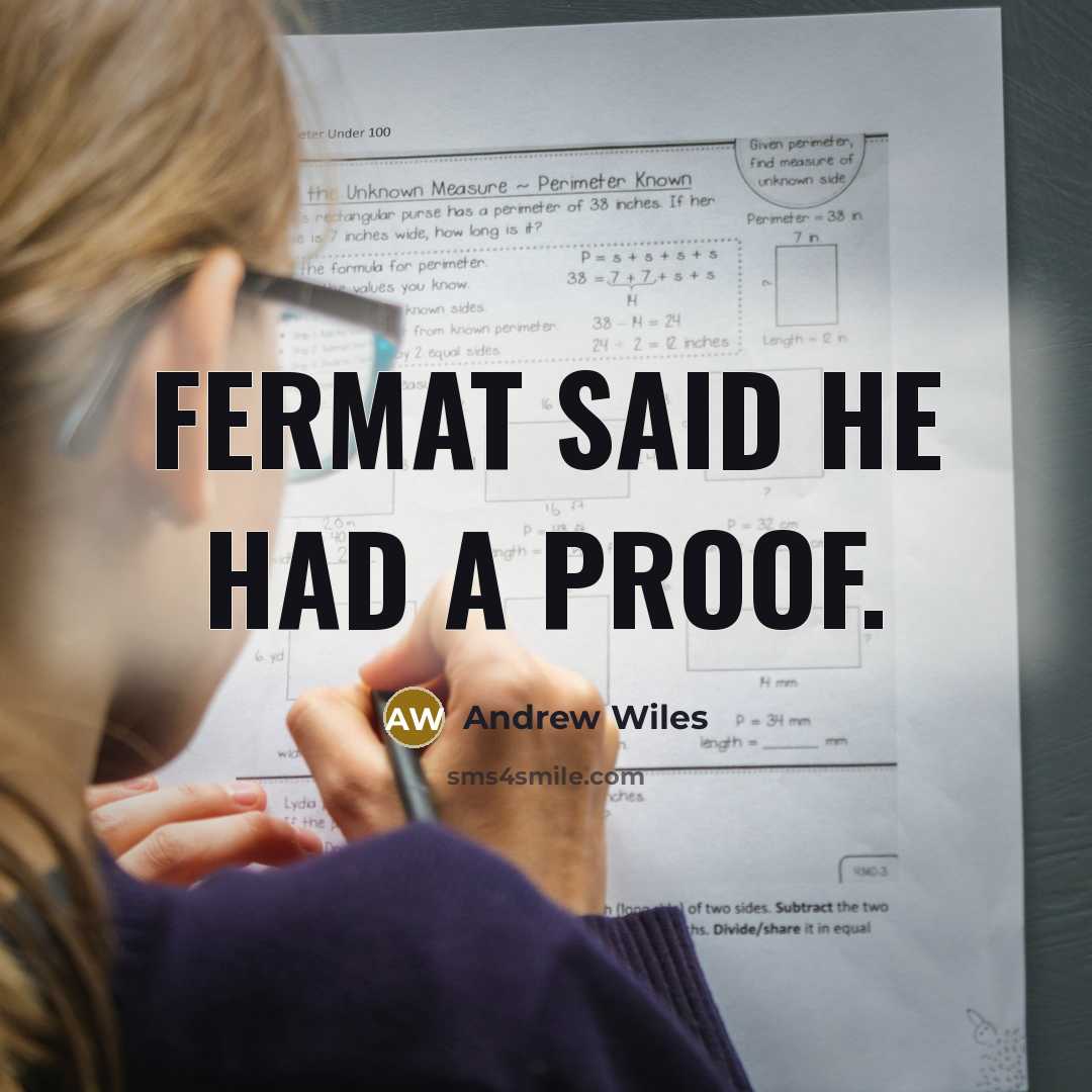 “Fermat said he had a proof.” quote by Andrew Wiles