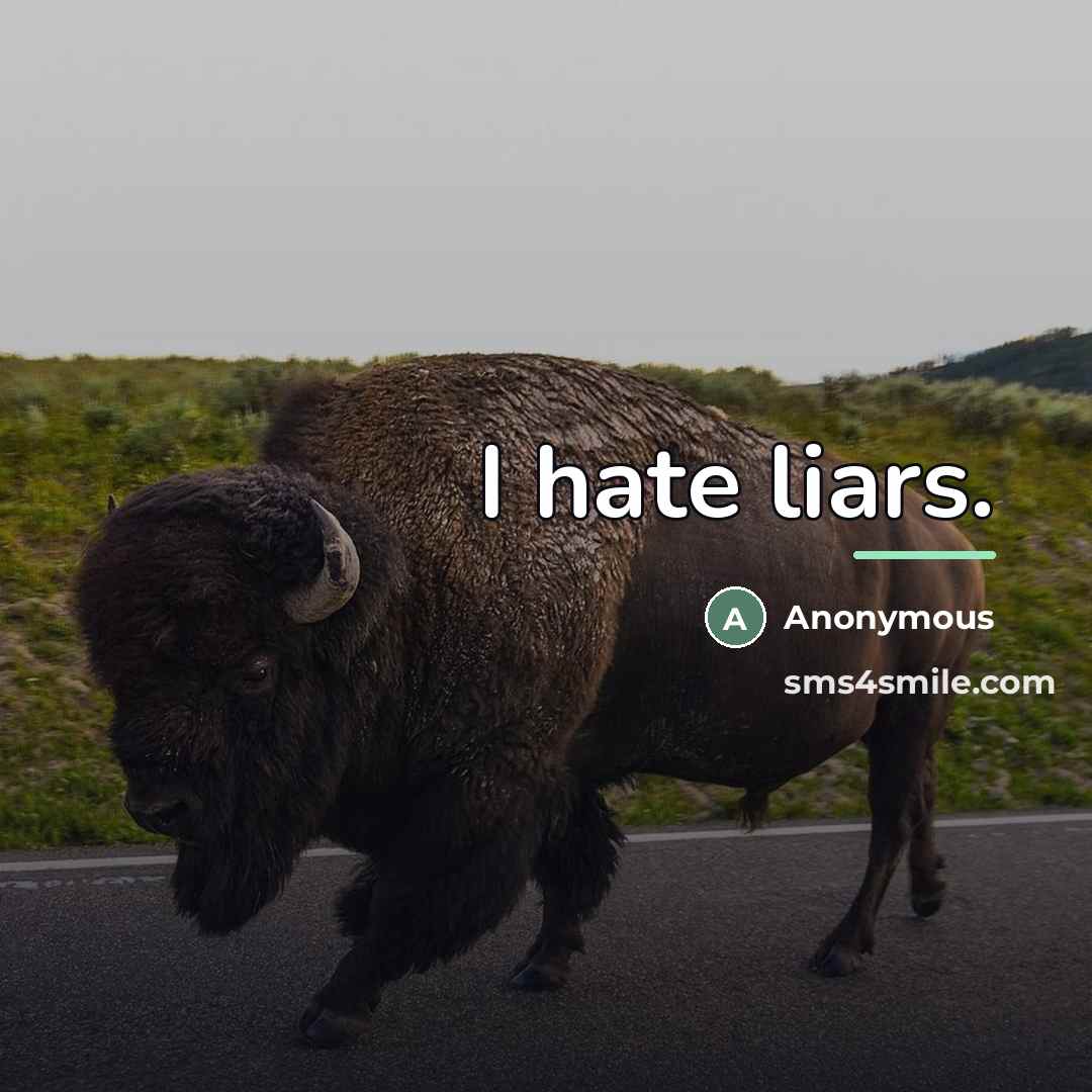 “I hate liars.…” quote by Dy;;am