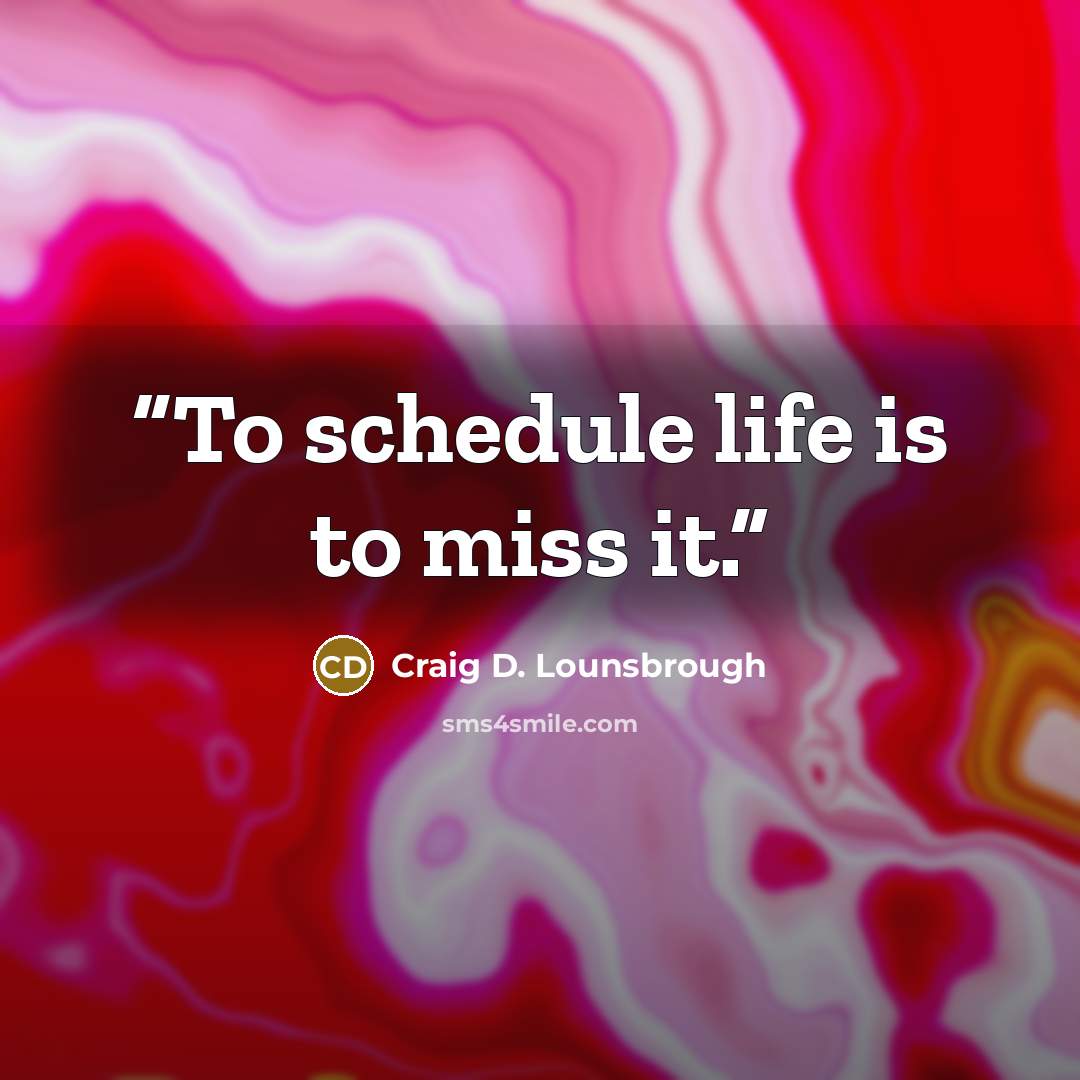 “To schedule life is to miss it.” quote by Craig D. Lounsbrough