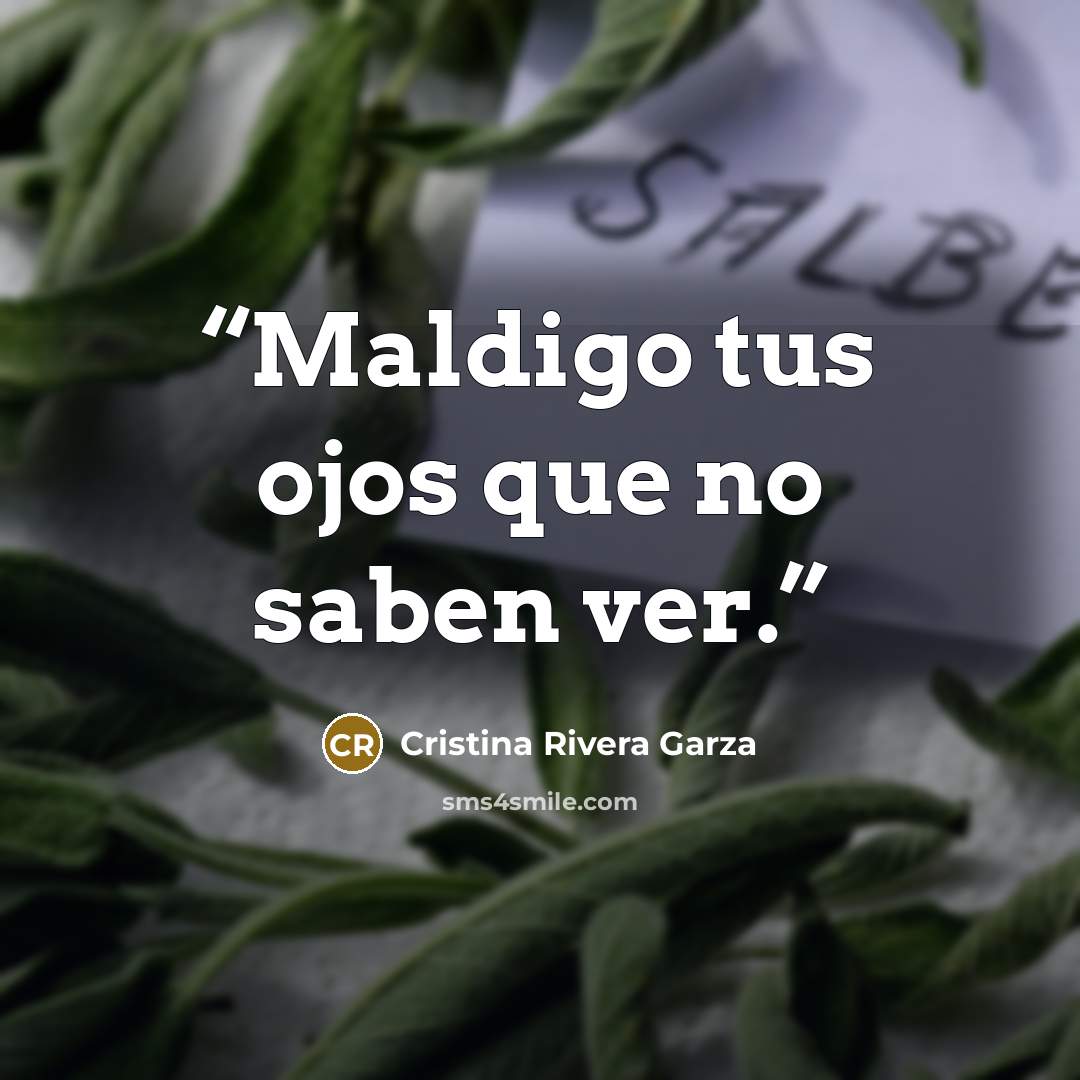 “Maldigo tus ojos que no saben ver.” quote by Cristina Rivera Garza