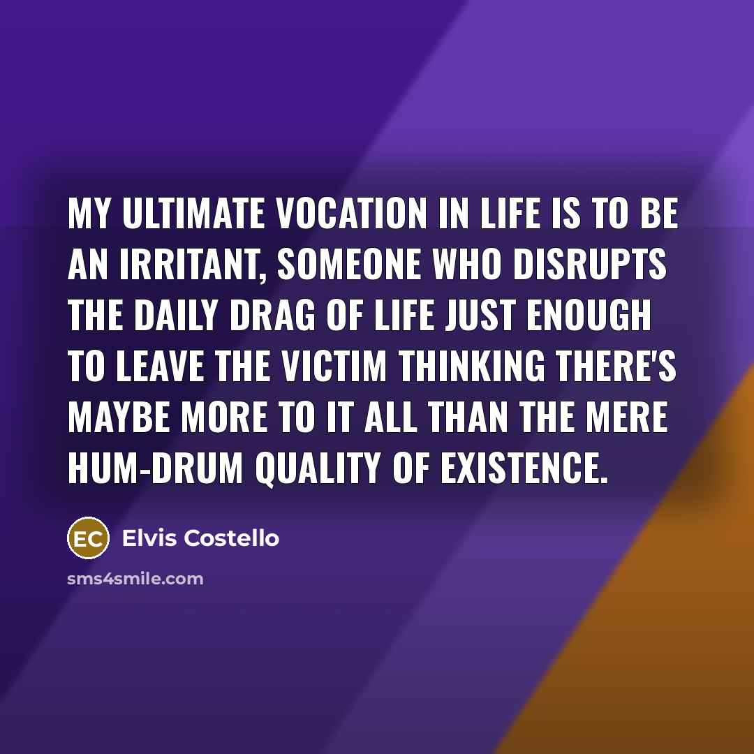 “My ultimate vocation in life is to be an irritant,…” quote by Elvis Costello