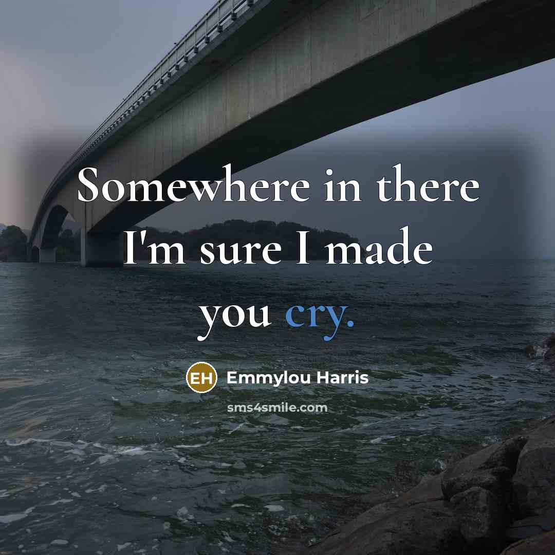 “Somewhere in there I'm sure I made you cry.…” quote by Emmylou Harris