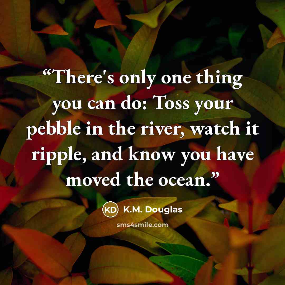 “There's only one thing you can do: Toss your pebble in the river, watch it ripple, and know you have moved the ocean.” quote by K.M. Douglas