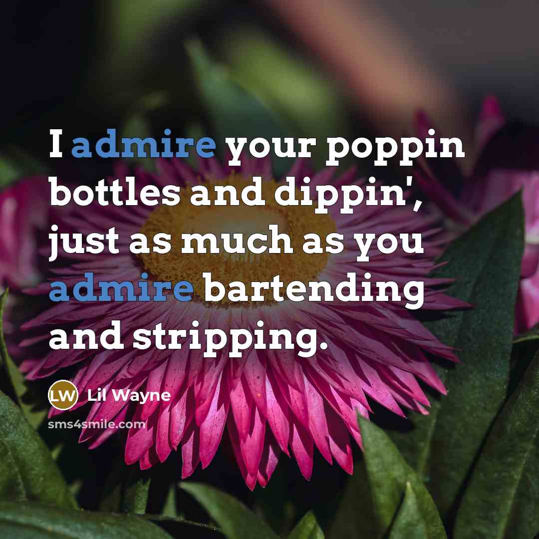 “I admire your poppin bottles and dippin', just as much…” quote by Lil Wayne