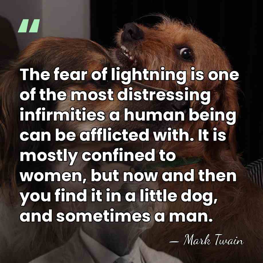 The fear of lightning is one of the most distressing infirmities a&hellip; - Mark Twain