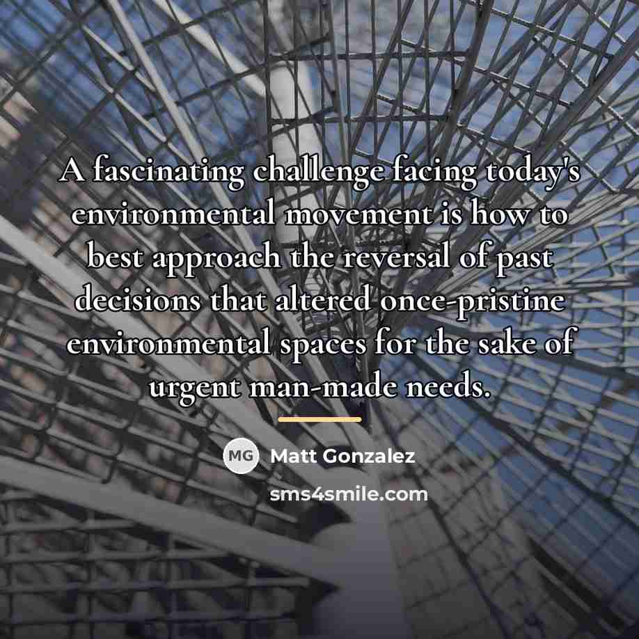 “A fascinating challenge facing today's environmental movement is how to…” quote by Matt Gonzalez