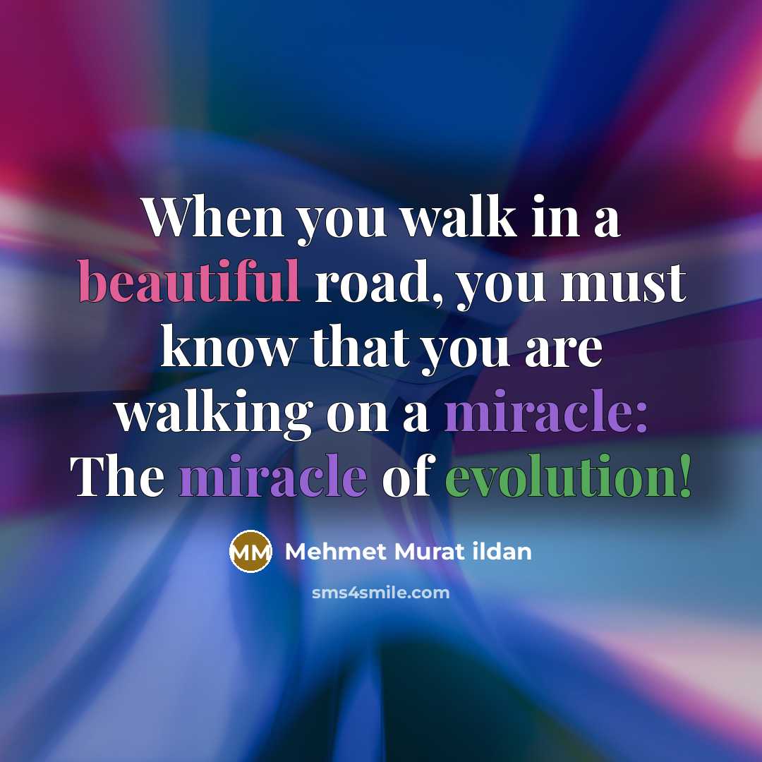 “When you walk in a beautiful road, you must know…” quote by Mehmet Murat Ildan