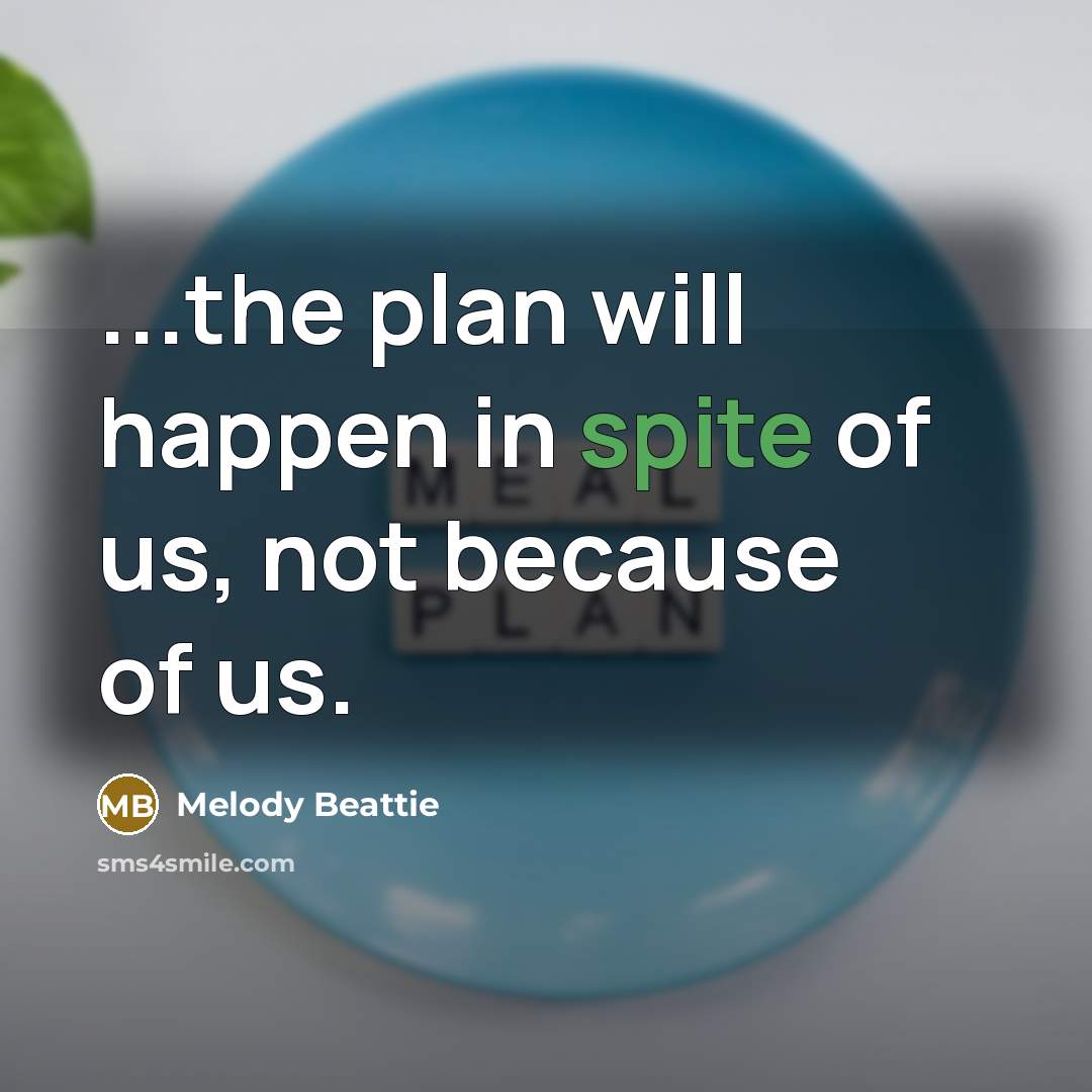 “...the plan will happen in spite of us, not because of us.” quote by Melody Beattie