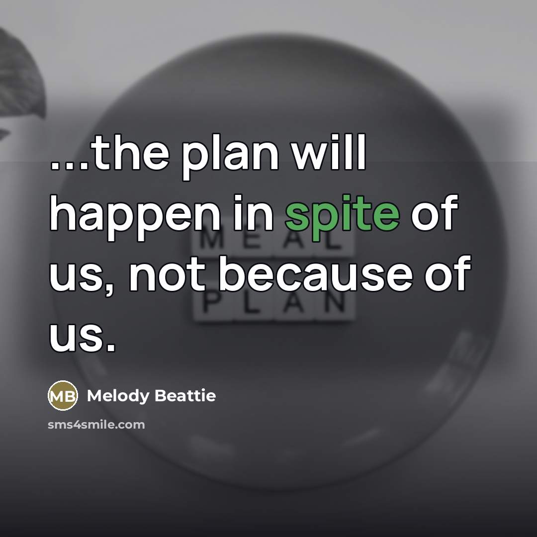 “...the plan will happen in spite of us, not because…” quote by Melody Beattie
