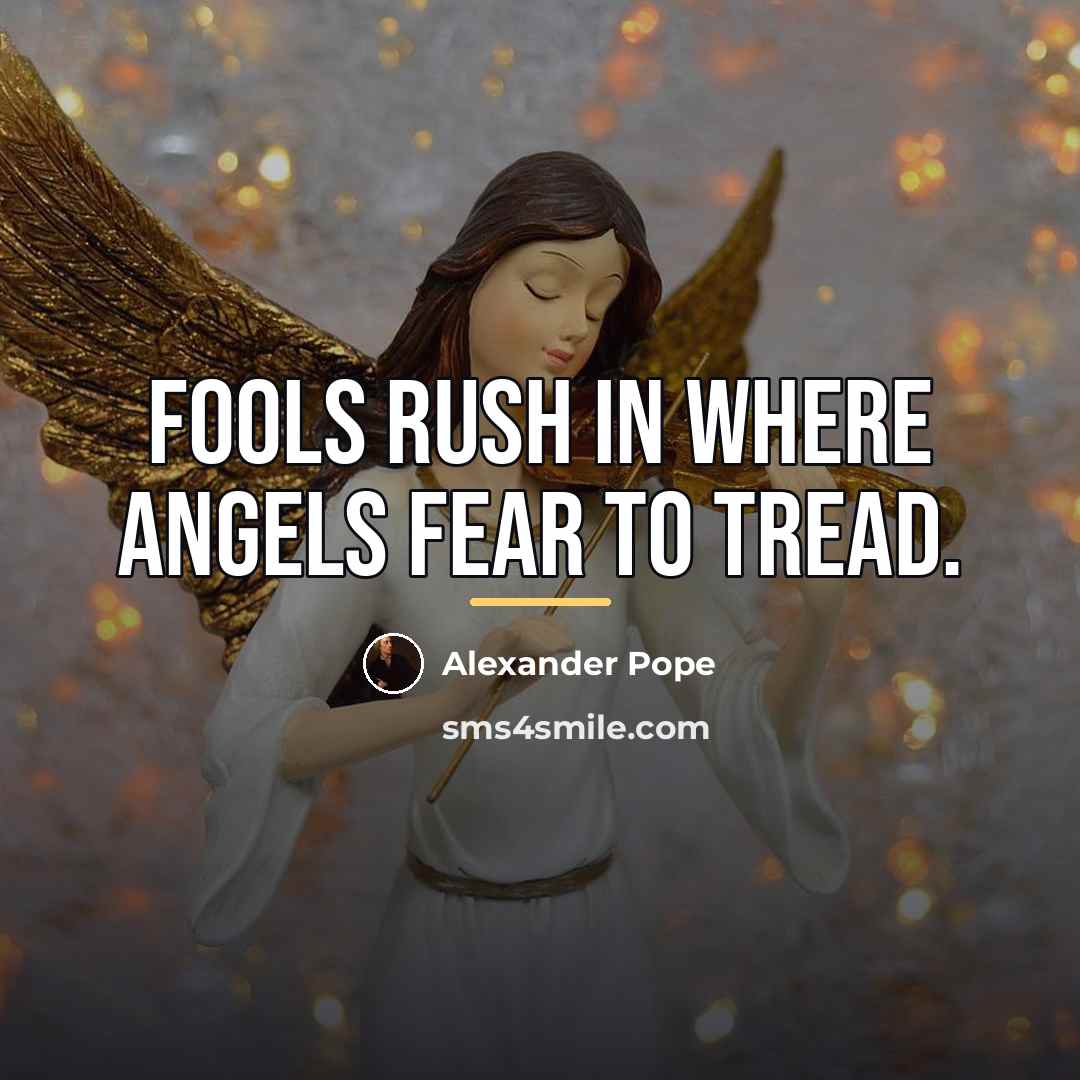 “Fools rush in where angels fear to tread.…” quote by Alexander Pope