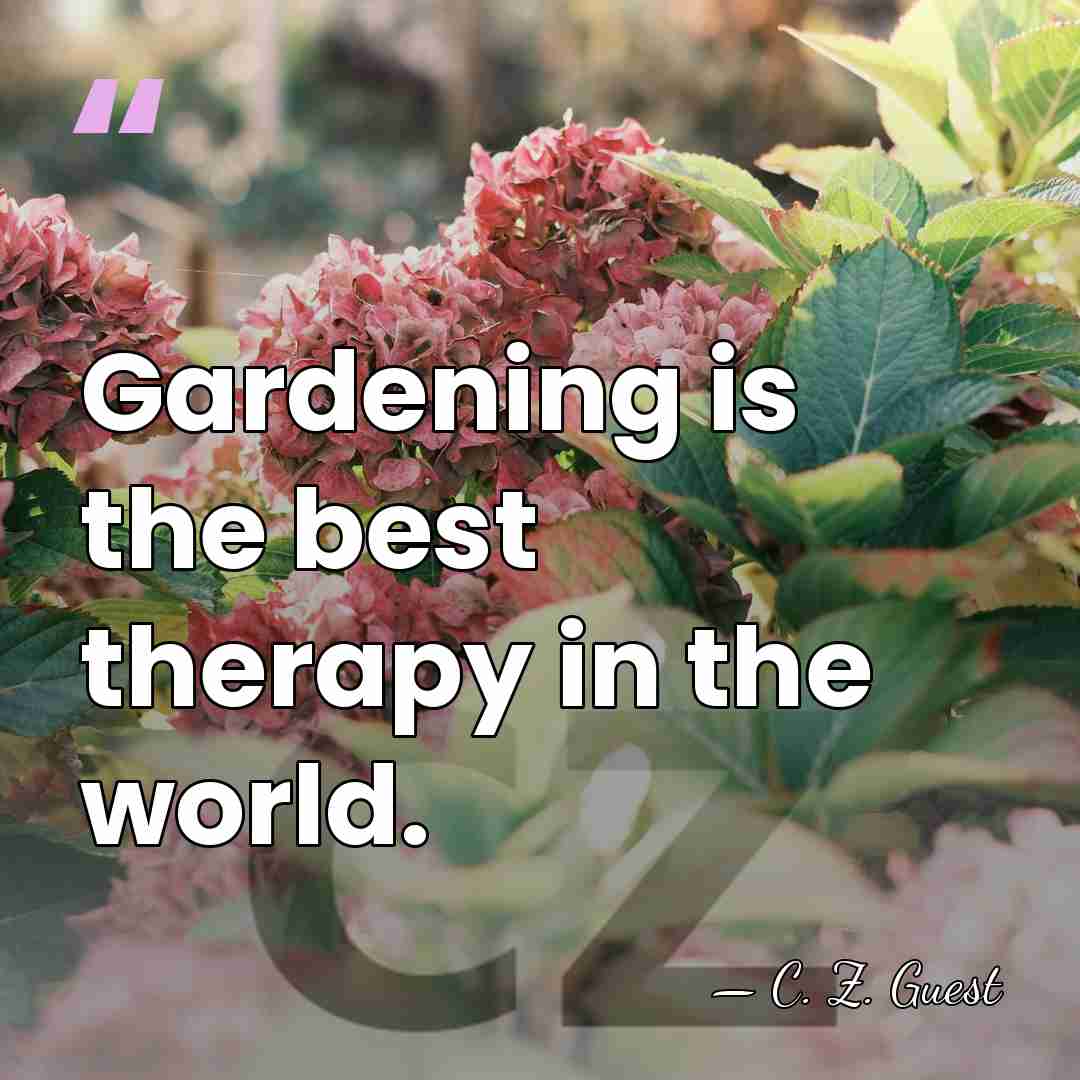 Gardening is the best therapy in the world. - C. Z. Guest