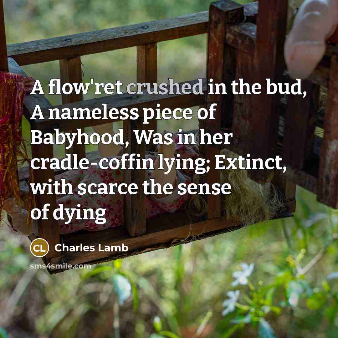 “A flow'ret crushed in the bud, A nameless piece of…” quote by Charles Lamb