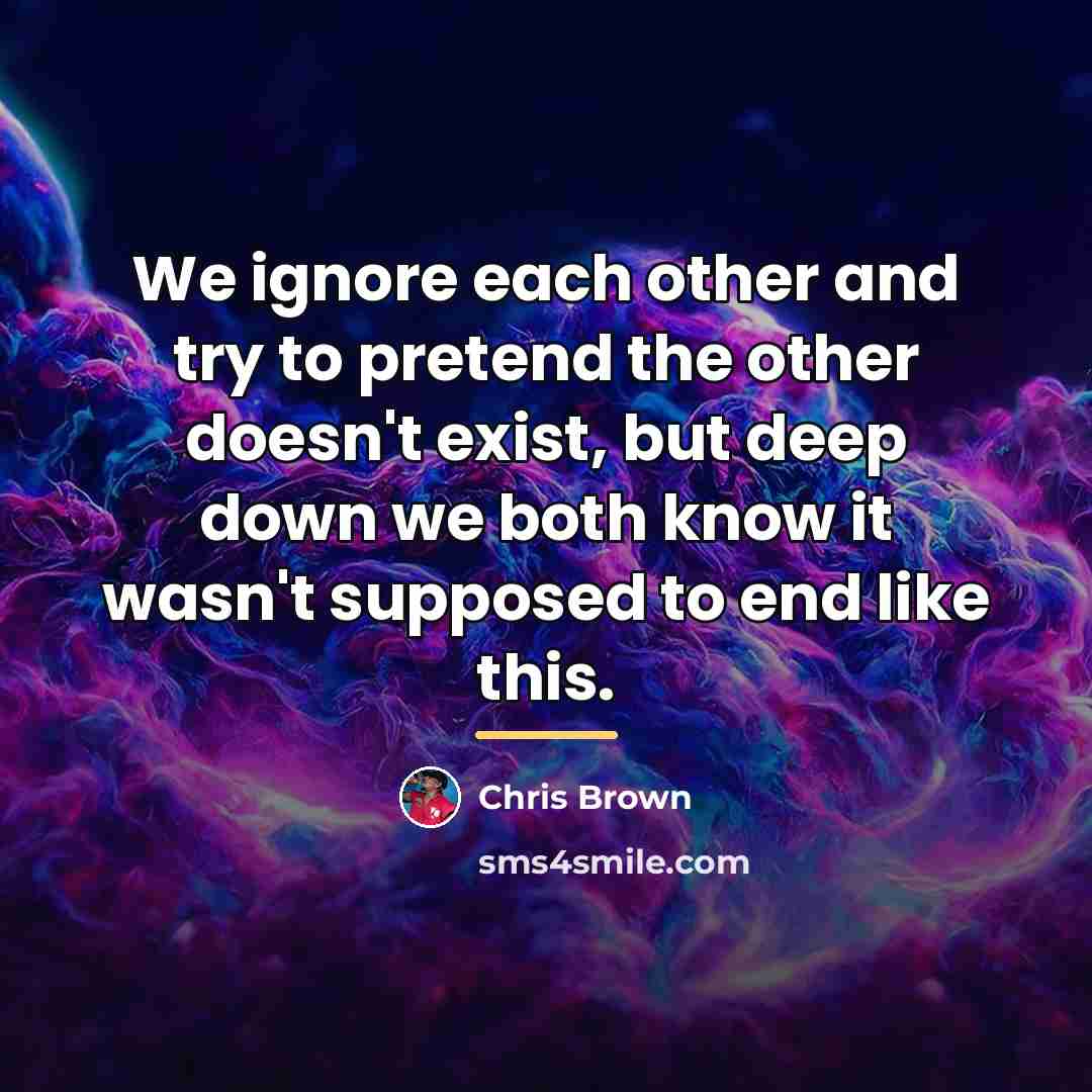 “We ignore each other and try to pretend the other…” quote by Chris Brown