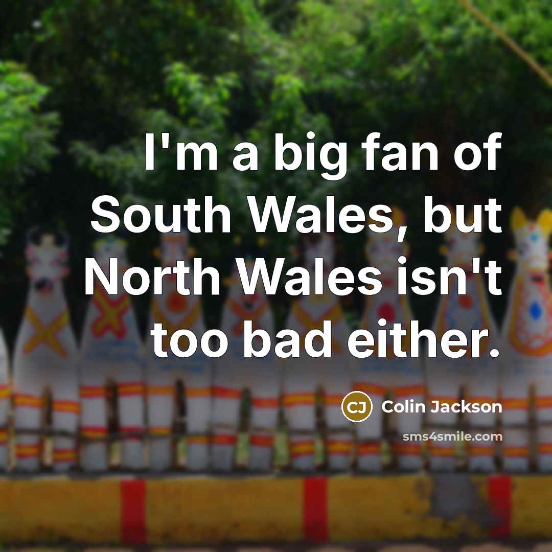 “I'm a big fan of South Wales, but North Wales…” quote by Colin Jackson