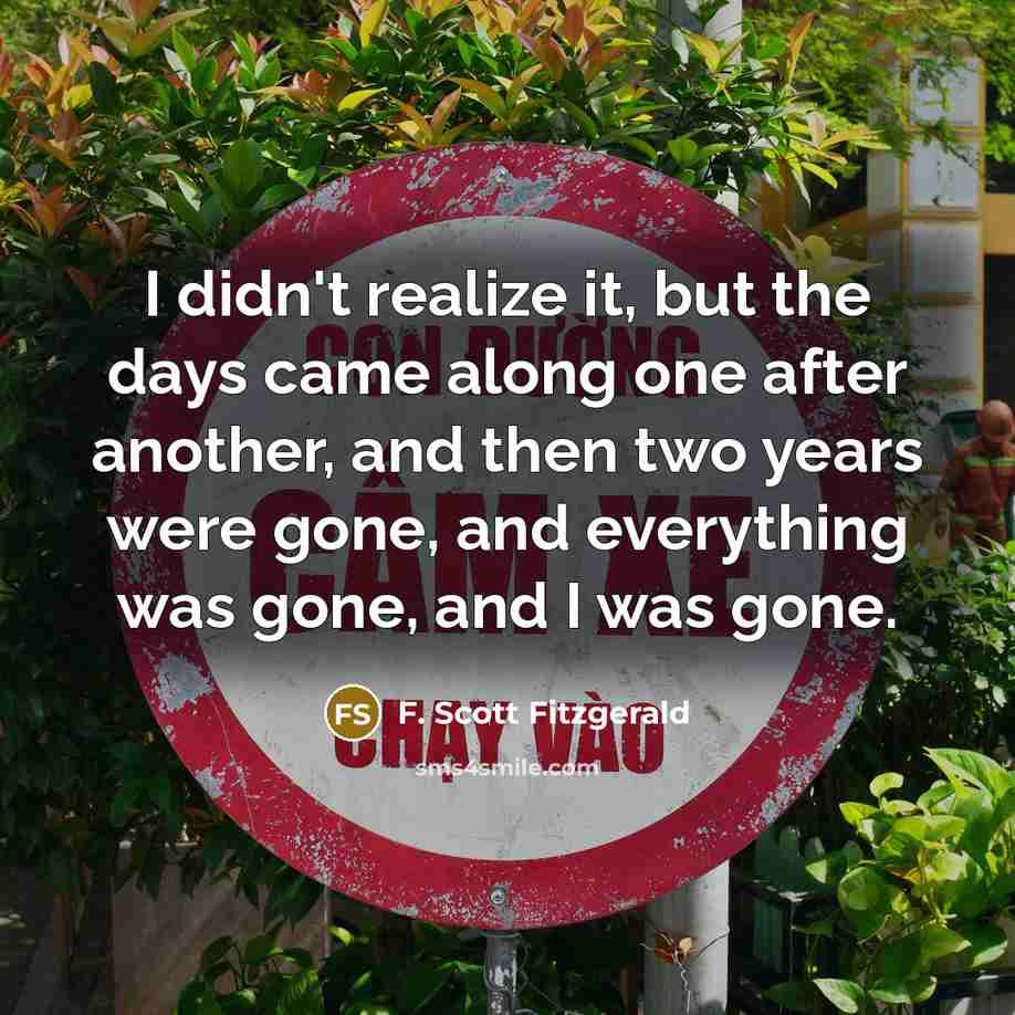 “I didn't realize it, but the days came along one…” quote by F. Scott Fitzgerald