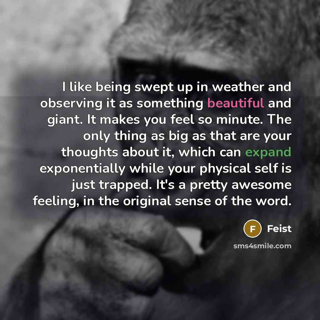 “I like being swept up in weather and observing it…” quote by Feist