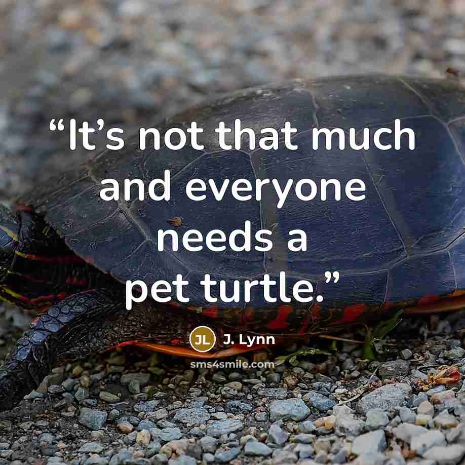 “It’s not that much and everyone needs a pet turtle.” quote by J. Lynn