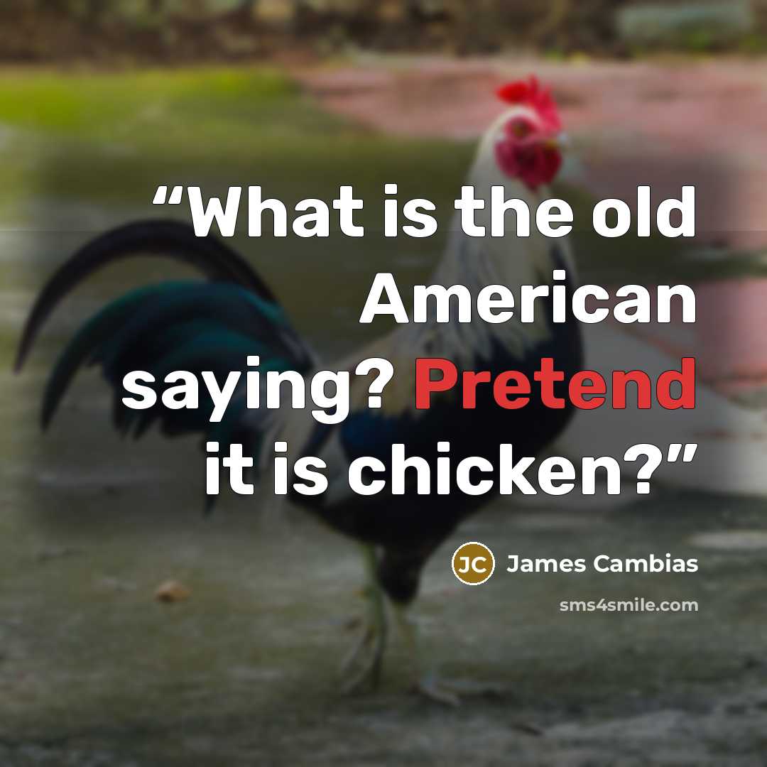 “What is the old American saying? Pretend it is chicken?” quote by James Cambias