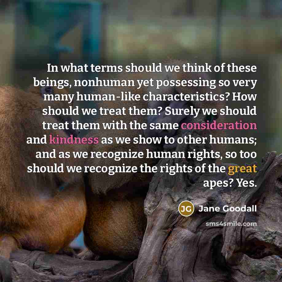 “In what terms should we think of these beings, nonhuman yet possessing so very many human-like characteristics? How should we treat them? Surely we should treat them with the same consideration and kindness as we show to other humans; and as we recognize human rights, so too should we recognize…” quote by Jane Goodall